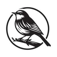 Black Warbler for Prints and Posters vector