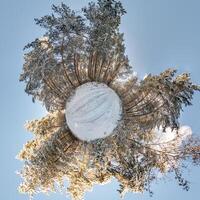 A small planet with trees and snow on it photo