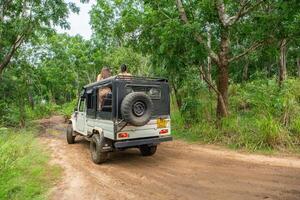 Kataragama, Sri Lanka, 11 january 2025 Safari jeep driving through the lush jungles of Sri Lanka photo
