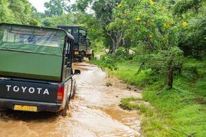 Kataragama, Sri Lanka, 11 january 2025 - Safari jeep driving through the lush jungles of Sri Lanka, searching for exotic wildlife in their natural habitat photo