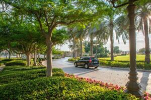 Abu Dhabi, UAE 04 january 2025 Palm trees and pedestrian paths along Abu Dhabi Corniche Road, perfect for evening walks photo