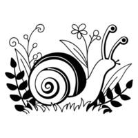 Floral Snail Illustration for Sublimation Printing Projects vector