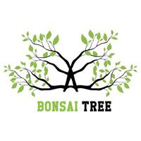 Elegant Bonsai Tree Logo with Abstract Design Elements vector