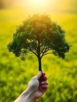 A hand holding a tree with green grass in the background photo