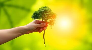 A hand holding a tree with a green leaf photo