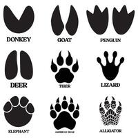 Animals footprint Silhouette illustration, Animal foot print silhouette design Bundle vector