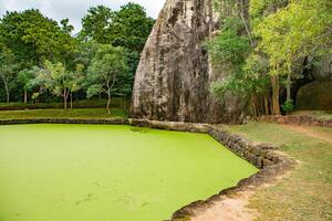 the beauty lion rock in sri lanka photo