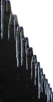 Drops falling from melting icicles on a dark background with empty space for titles or inscriptions photo