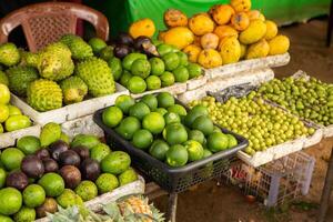 local market with fruits in sri lanka, asia photo