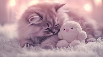 Gentle dreams, a kitten's soft slumber nestled against its cuddly toy companion photo