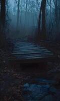 Eerie wooden path under a blanket of fog, leading deeper into the dark and mysterious forest photo