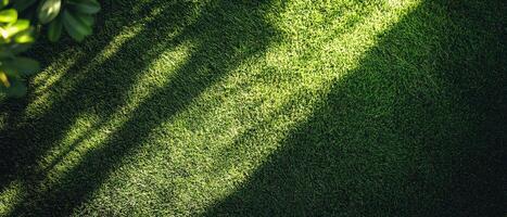 Sunlight casting shadows on lush green grass outdoor nature scene aerial view tranquil environment photo
