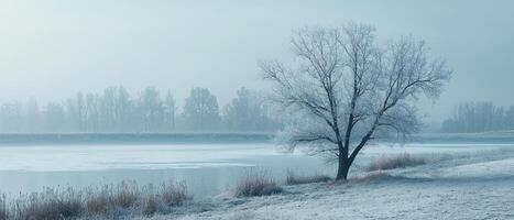 Winter serenity frozen landscape with tree nature scene frosty environment minimalist viewpoint blue tones photo
