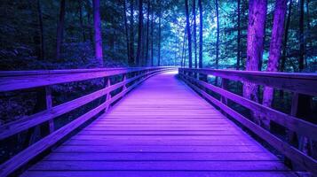 Serene nature walk enchanted forest photography dreamy purple atmosphere elevated perspective calmness unleashed photo