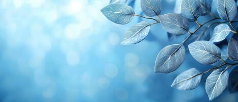 Serene nature scene with blue-toned leaves natural environment close-up view tranquility concept photo