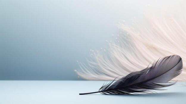Delicate black feather on soft background art photography minimalist style calm environment diagonal perspective photo