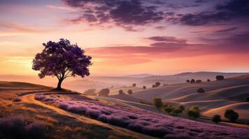 Tranquil sunset over rolling hills nature scene landscape photography serene environment wide angle view peaceful concept photo