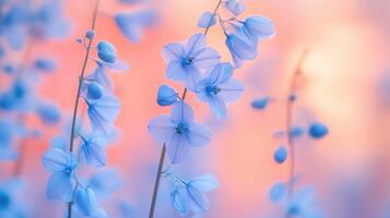 Delicate pale bluebells blooming in nature captured in a tranquil environment artistic photography photo