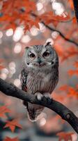 Wise old owl perched on a tree in autumn nature closeup photography vibrant foliage artistic perspective photo