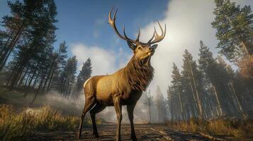 Majestic stag in sunlit clearing nature photography forest environment wildlife viewpoint photo