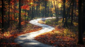 Winding path through autumn forest sunlit trail nature scene scenic landscape peaceful ambiance photo