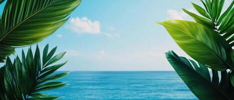 Vibrant ocean view with lush green foliage coastal landscape nature photography bright day scenic perspective photo
