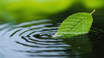 Floating leaf creating ripples in calm water nature scene close-up photography tranquil environment photo