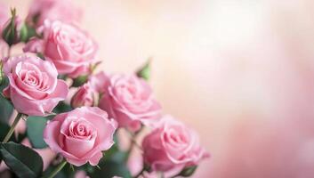 Pink roses are shown in a vase with a pink background photo