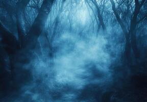 A dark forest with fog and trees photo