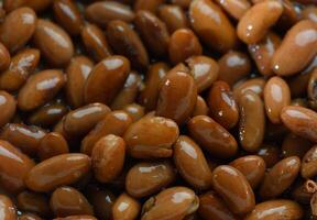 Brown beans basking in natural light, highlighting their smooth texture and rich color in a close-up view photo
