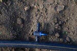 Farmers use modern irrigation system to optimize water usage in arid land during midday sunlight photo