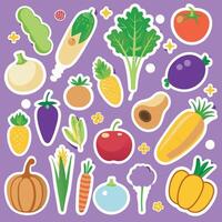 Assorted Colorful Vegetable Collection vector
