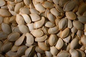 Harvested pumpkin seeds spread out in natural light, showcasing their texture in a rustic setting photo