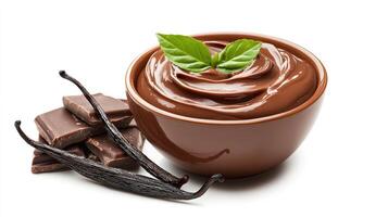Delicious creamy chocolate in a bowl with vanilla pods and fresh green leaves. photo