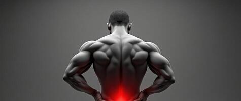 Back view of a muscular athlete with highlighted back pain in a realistic illustration. photo