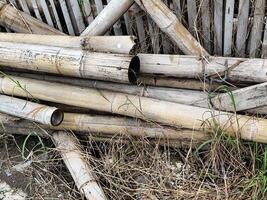 Abstract Bamboo Lattice Design with Diagonal Lines photo