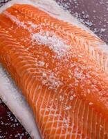 Fresh Raw Salmon Fillet with Coarse Salt and Mixed Spices on Dark Background photo