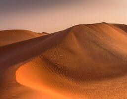 Golden Sand Dunes with Dramatic Shadows and Abstract Desert Patterns photo