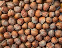Close-up of Hazelnuts with Natural Texture, Perfect for Backgrounds photo