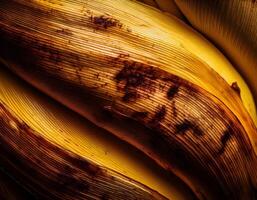 High-Resolution Banana Peel Texture with Subtle Color Variations photo