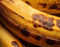 Detailed View of Ripe Banana Skin with Soft Brown Marks and Organic Patterns photo