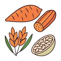 Assorted Root Vegetables and Grains vector