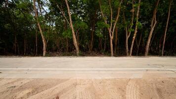 Concrete road cutting through a dense forest. Tall slender of rubber trees line both sides of the road. Creating a natural tunnel. The ground in front has tire marks. photo