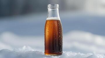 Cold drink bottle in snow photo