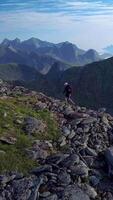 Aerial view of a girl with a backpack traveling through the mountains. Beautiful view of the peaked tops of the Lofoten Islands, Norway, vertical footage video