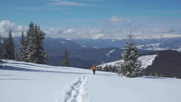 A man with a backpack travels in the mountains in winter. Carpathian mountain range. The concept of travel and active lifestyle. 4K video