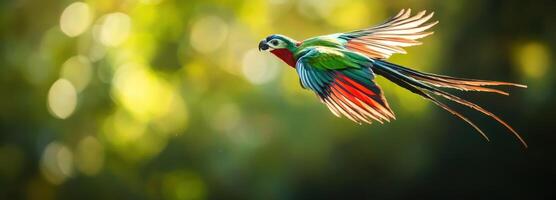 A Colorful Parrot In Flight Against A Green Bokeh Background photo