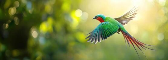 A Green and Red Bird in Flight Against a Bokeh Background photo