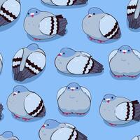 Seamless pattern with cute fat fluffy pigeons. graphics. vector