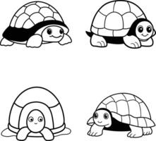 Box Turtle Hiding In Shell Illustration vector
